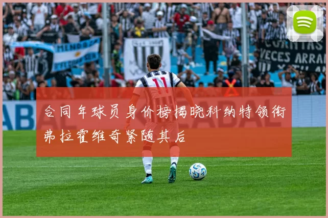 合同年球员身价榜揭晓科纳特领衔弗拉霍维奇紧随其后