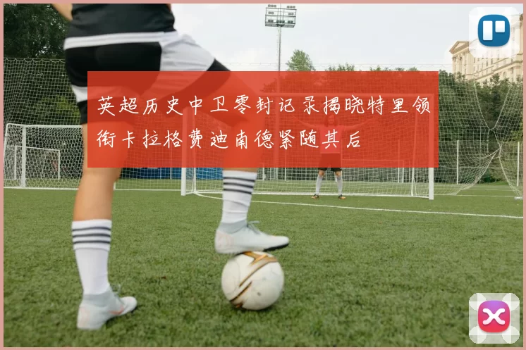 英超历史中卫零封记录揭晓特里领衔卡拉格费迪南德紧随其后